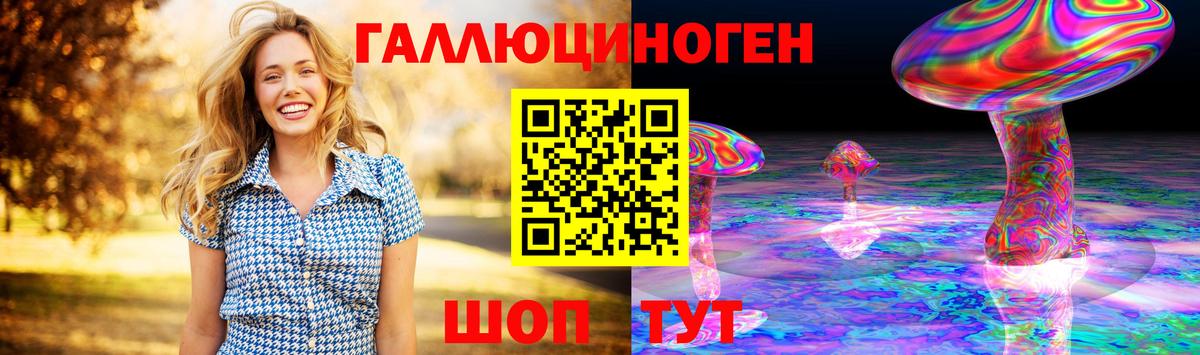 Юрга  Галлюциногенные грибы Psilocybine cubensis  где найти   Вход с VPN 